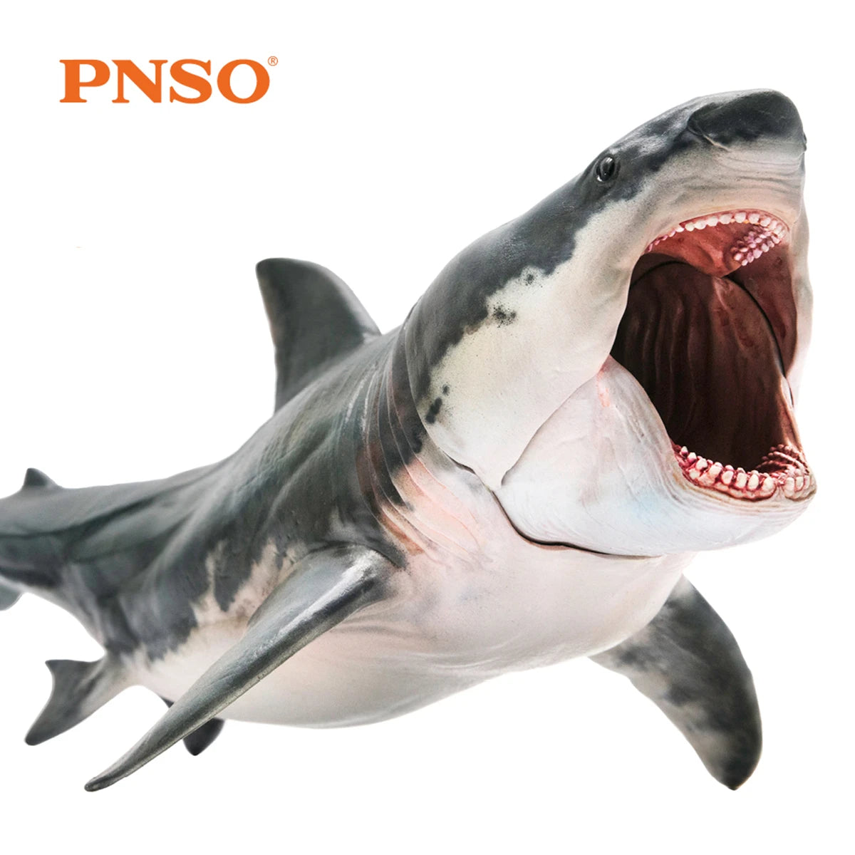 Modelo de Tiburón Megalodón PNSO 15, Animal Marino Prehistórico, Colección de Escenas para Adultos, Juguetes Educativos de Ciencia, Regalo, Decoración del Hogar