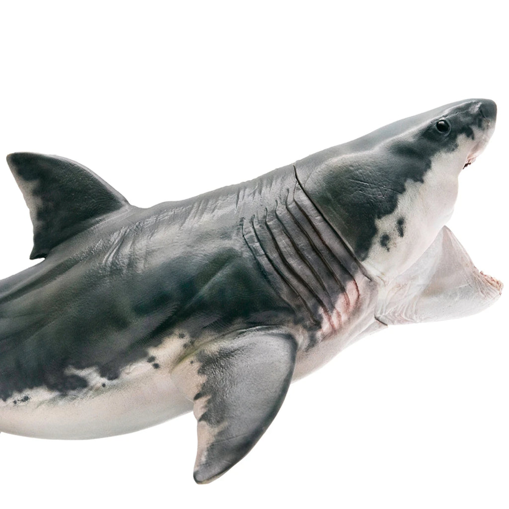 Modelo de Tiburón Megalodón PNSO 15, Animal Marino Prehistórico, Colección de Escenas para Adultos, Juguetes Educativos de Ciencia, Regalo, Decoración del Hogar
