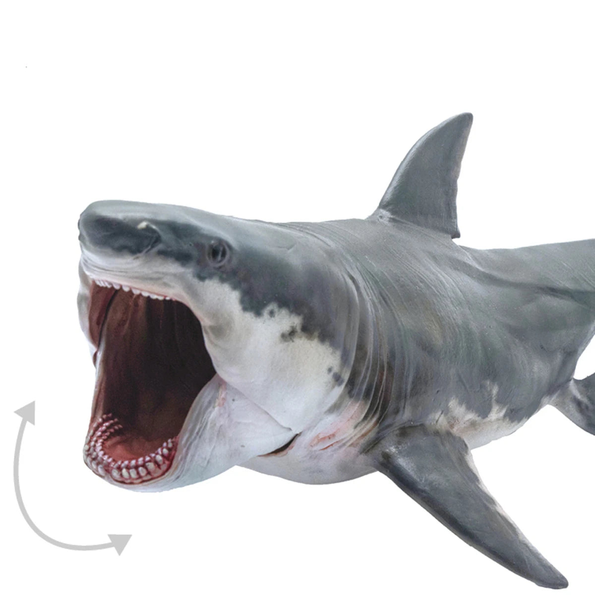 Modelo de Tiburón Megalodón PNSO 15, Animal Marino Prehistórico, Colección de Escenas para Adultos, Juguetes Educativos de Ciencia, Regalo, Decoración del Hogar