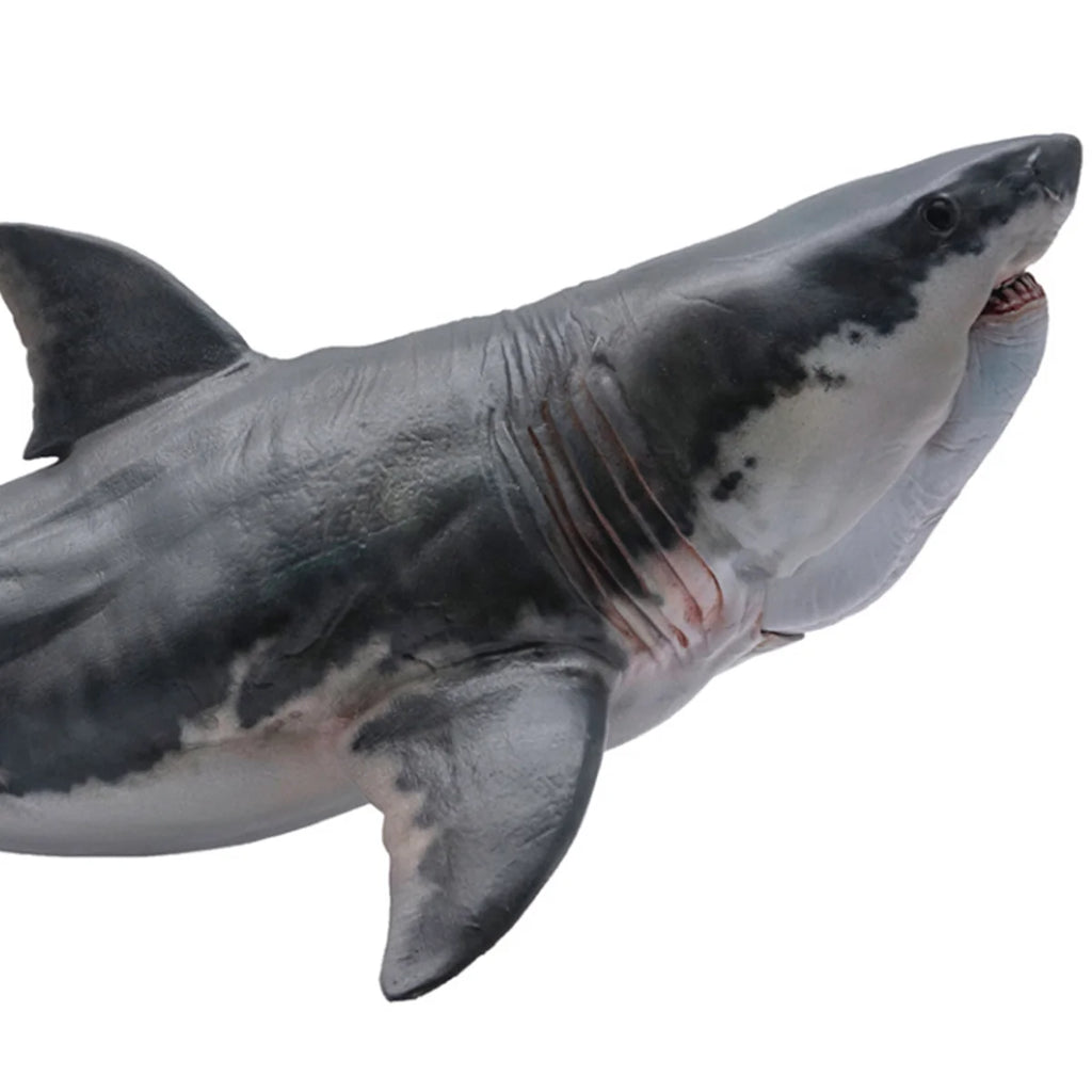 Modelo de Tiburón Megalodón PNSO 15, Animal Marino Prehistórico, Colección de Escenas para Adultos, Juguetes Educativos de Ciencia, Regalo, Decoración del Hogar