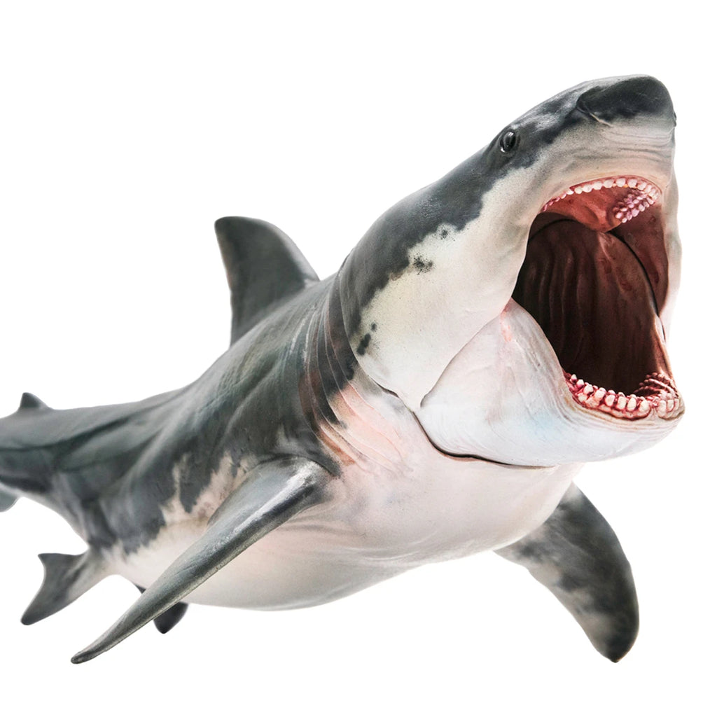 Modelo de Tiburón Megalodón PNSO 15, Animal Marino Prehistórico, Colección de Escenas para Adultos, Juguetes Educativos de Ciencia, Regalo, Decoración del Hogar