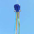 Cometas de pulpo, juguetes de jardín, cometa voladora, cometas inflables profesionales de parapente, cometa suave con cuerda, cometa dragón, cometa de exterior con alerón