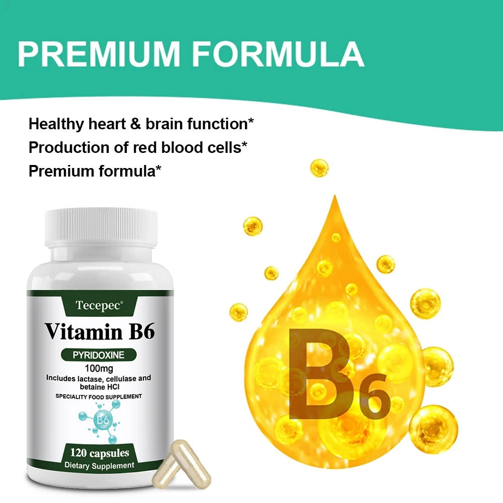 Suplementos de vitamina B6: apoya el sistema inmunológico, el sistema nervioso, el metabolismo energético, el estado de ánimo saludable