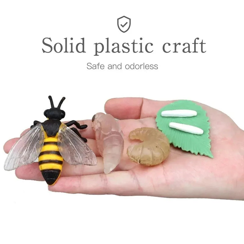 Modelo de biología de simulación para niños, juguete de planta Animal, ciclo de crecimiento de vida, juego de juguetes Montessori para niños, material didáctico, juguetes educativos