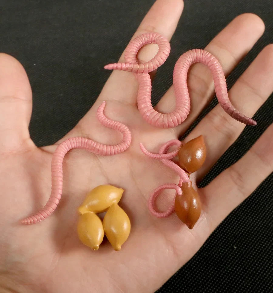 Modelo de biología de simulación para niños, juguete de planta Animal, ciclo de crecimiento de vida, juego de juguetes Montessori para niños, material didáctico, juguetes educativos