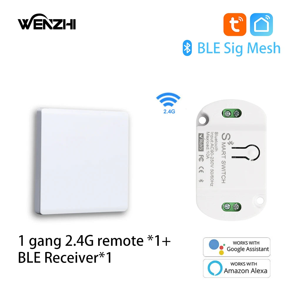 Módulo de interruptor Bluetooth/BLE, relé para lámpara de luz, encendido/apagado, Control remoto inalámbrico de 2,4G, temporizador de vida inteligente Tuya, automatización del hogar DIY