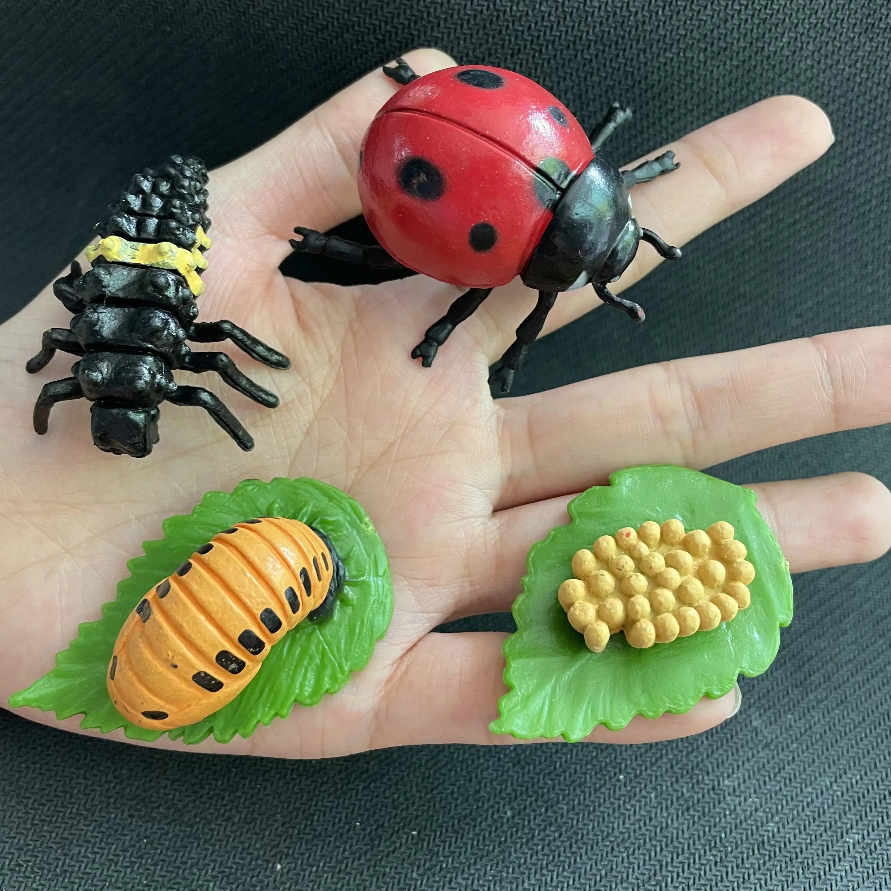 Modelo de biología de simulación para niños, juguete de planta Animal, ciclo de crecimiento de vida, juego de juguetes Montessori para niños, material didáctico, juguetes educativos