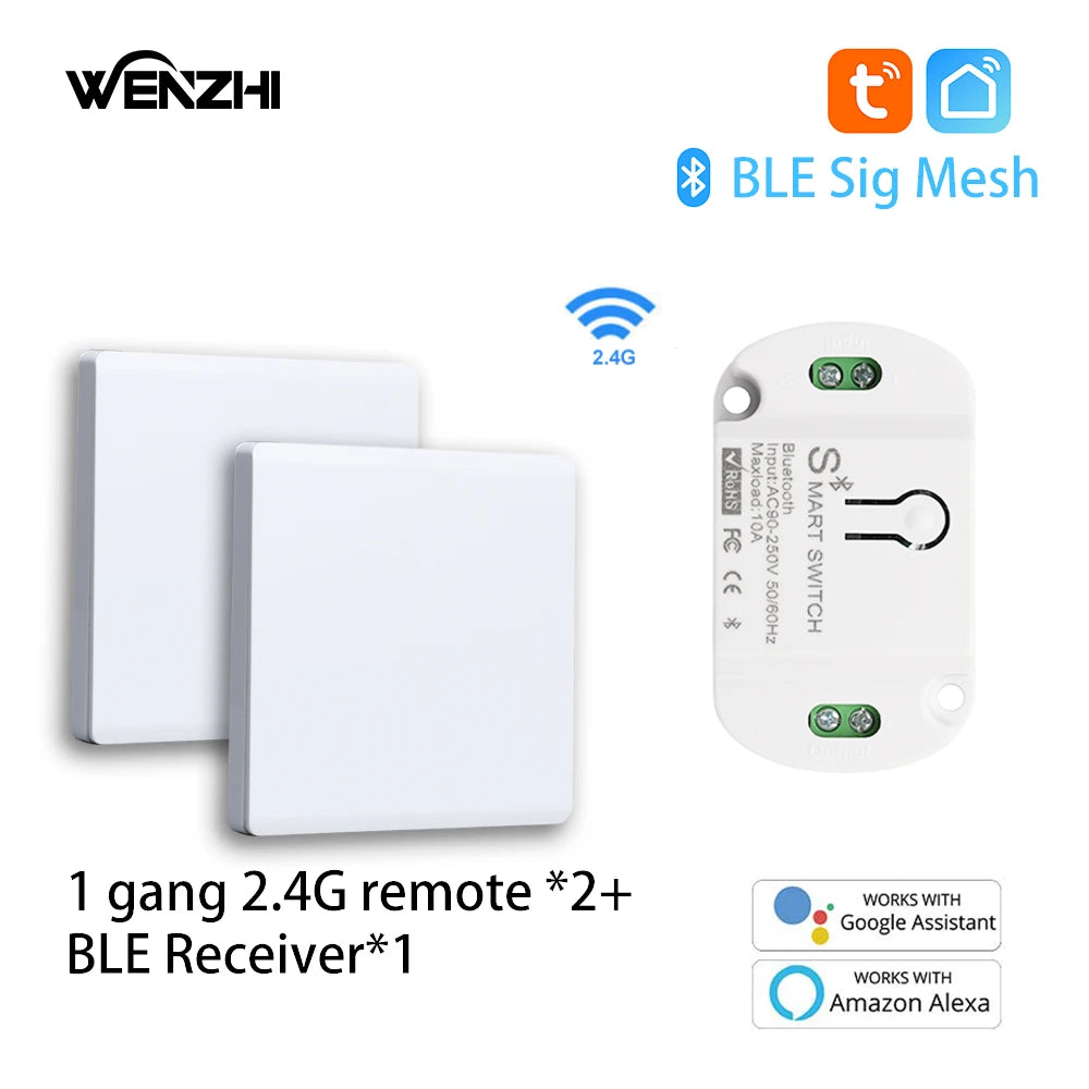 Módulo de interruptor Bluetooth/BLE, relé para lámpara de luz, encendido/apagado, Control remoto inalámbrico de 2,4G, temporizador de vida inteligente Tuya, automatización del hogar DIY