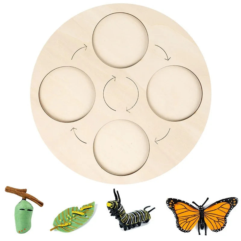 Modelo de biología de simulación para niños, juguete de planta Animal, ciclo de crecimiento de vida, juego de juguetes Montessori para niños, material didáctico, juguetes educativos