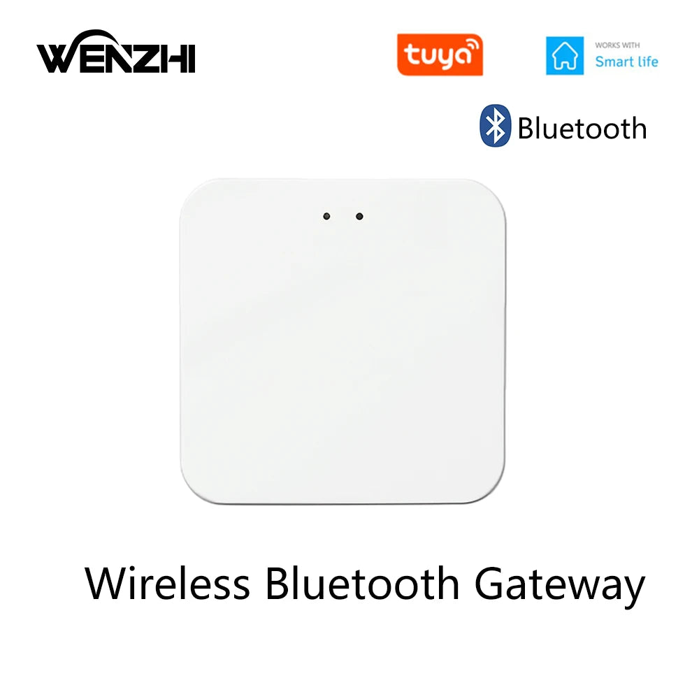Módulo de interruptor Bluetooth/BLE, relé para lámpara de luz, encendido/apagado, Control remoto inalámbrico de 2,4G, temporizador de vida inteligente Tuya, automatización del hogar DIY