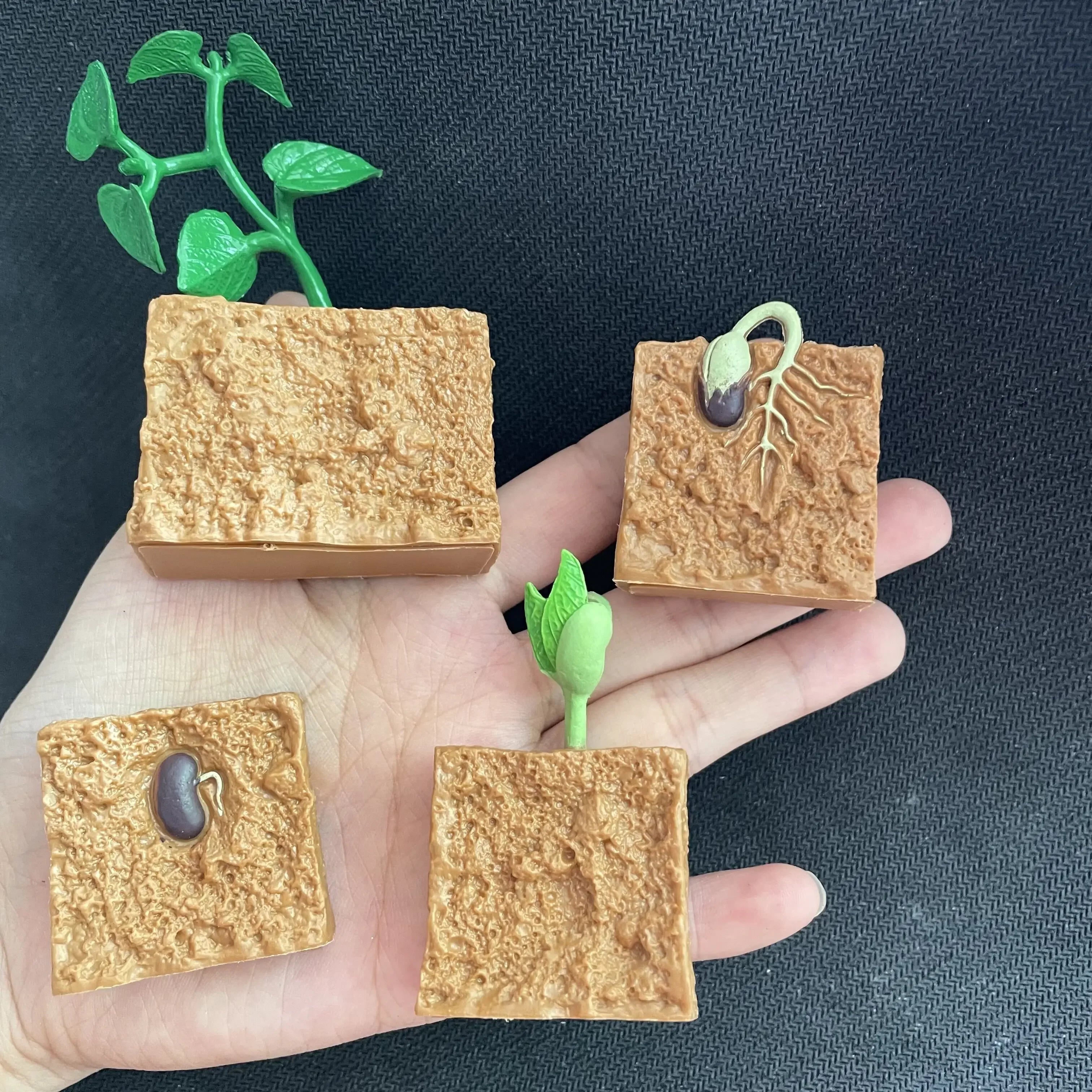 Modelo de biología de simulación para niños, juguete de planta Animal, ciclo de crecimiento de vida, juego de juguetes Montessori para niños, material didáctico, juguetes educativos