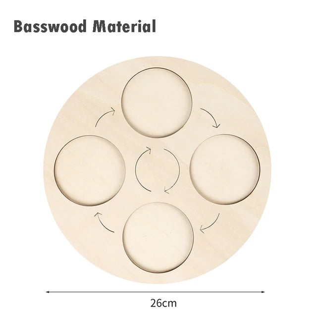 Modelo de biología de simulación para niños, juguete de planta Animal, ciclo de crecimiento de vida, juego de juguetes Montessori para niños, material didáctico, juguetes educativos