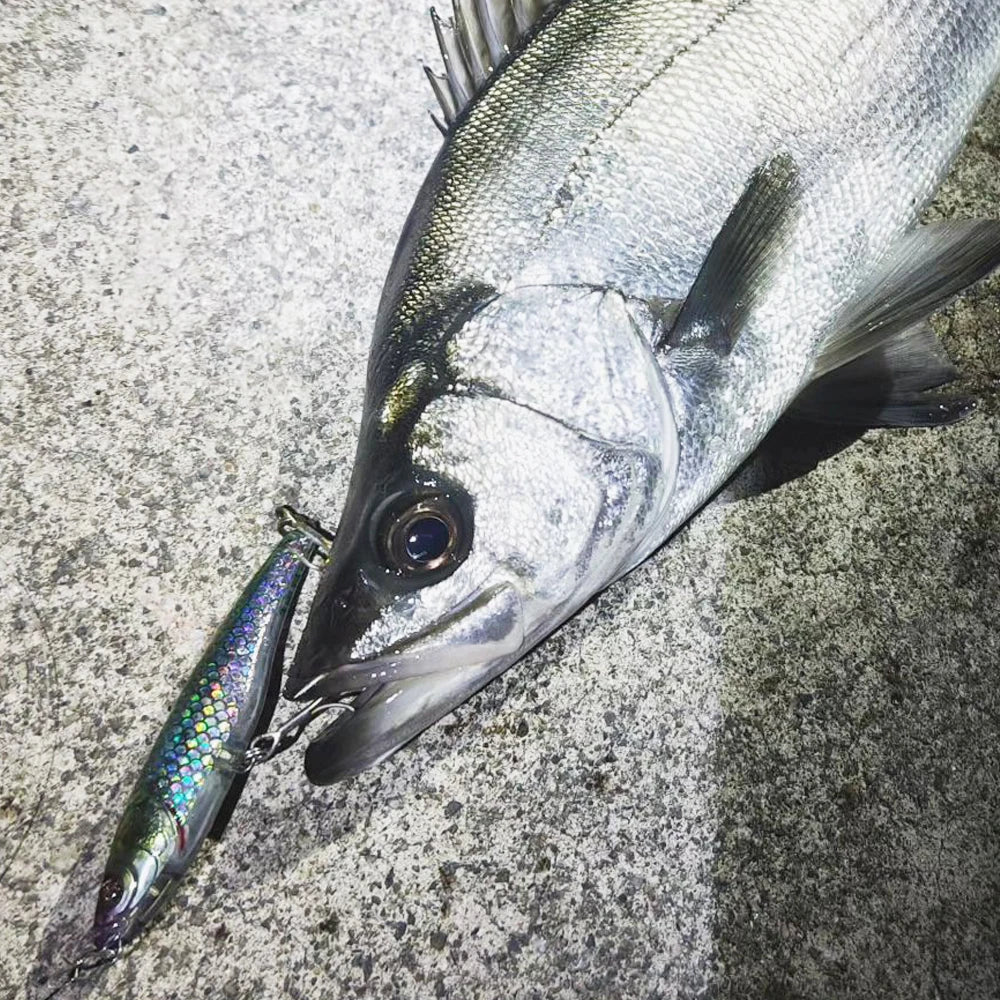 Señuelo tipo lápiz que se hunde, 53g, 10,5 cm, anzuelo Popper para agua salada, Swimbait, Pesca de fundición larga, Wobbler, Pesca en el mar, Crankbait Gear, cebo de silicona
