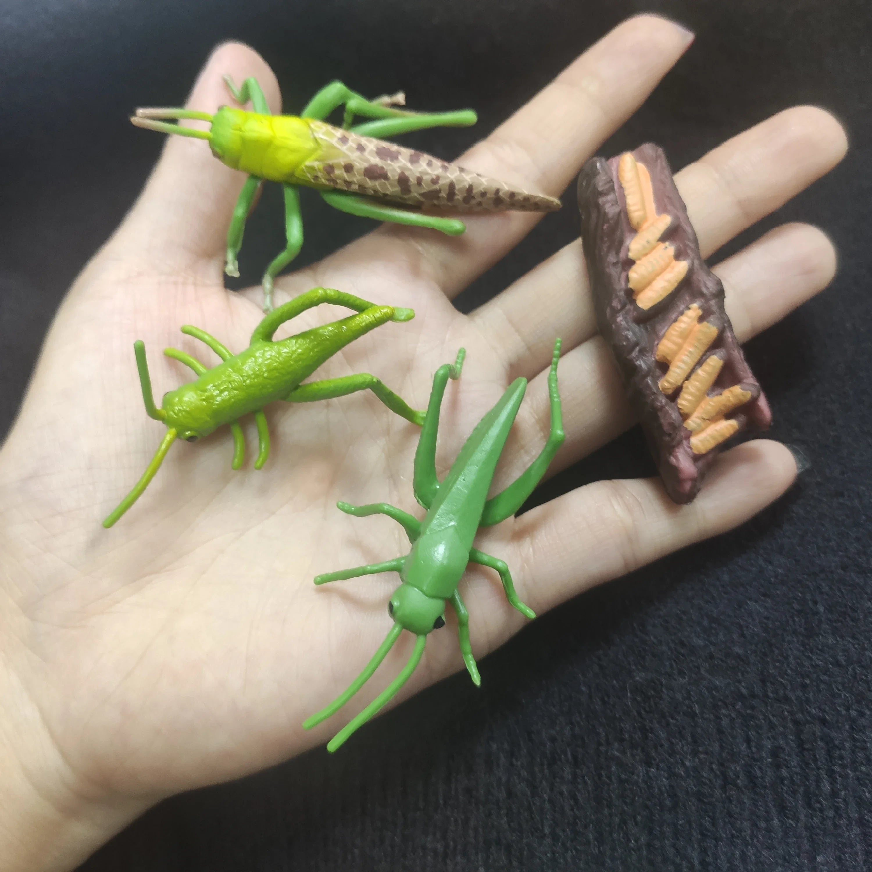 Modelo de biología de simulación para niños, juguete de planta Animal, ciclo de crecimiento de vida, juego de juguetes Montessori para niños, material didáctico, juguetes educativos