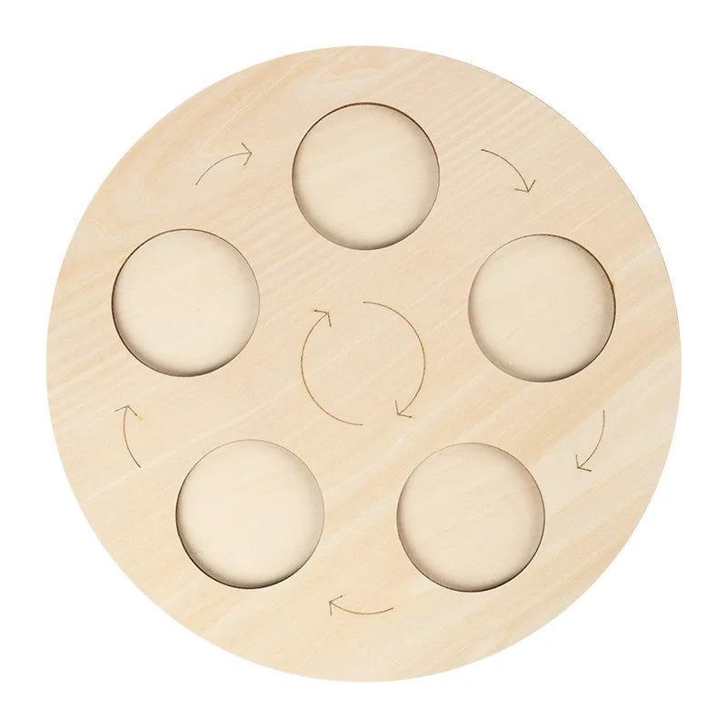 Modelo de biología de simulación para niños, juguete de planta Animal, ciclo de crecimiento de vida, juego de juguetes Montessori para niños, material didáctico, juguetes educativos