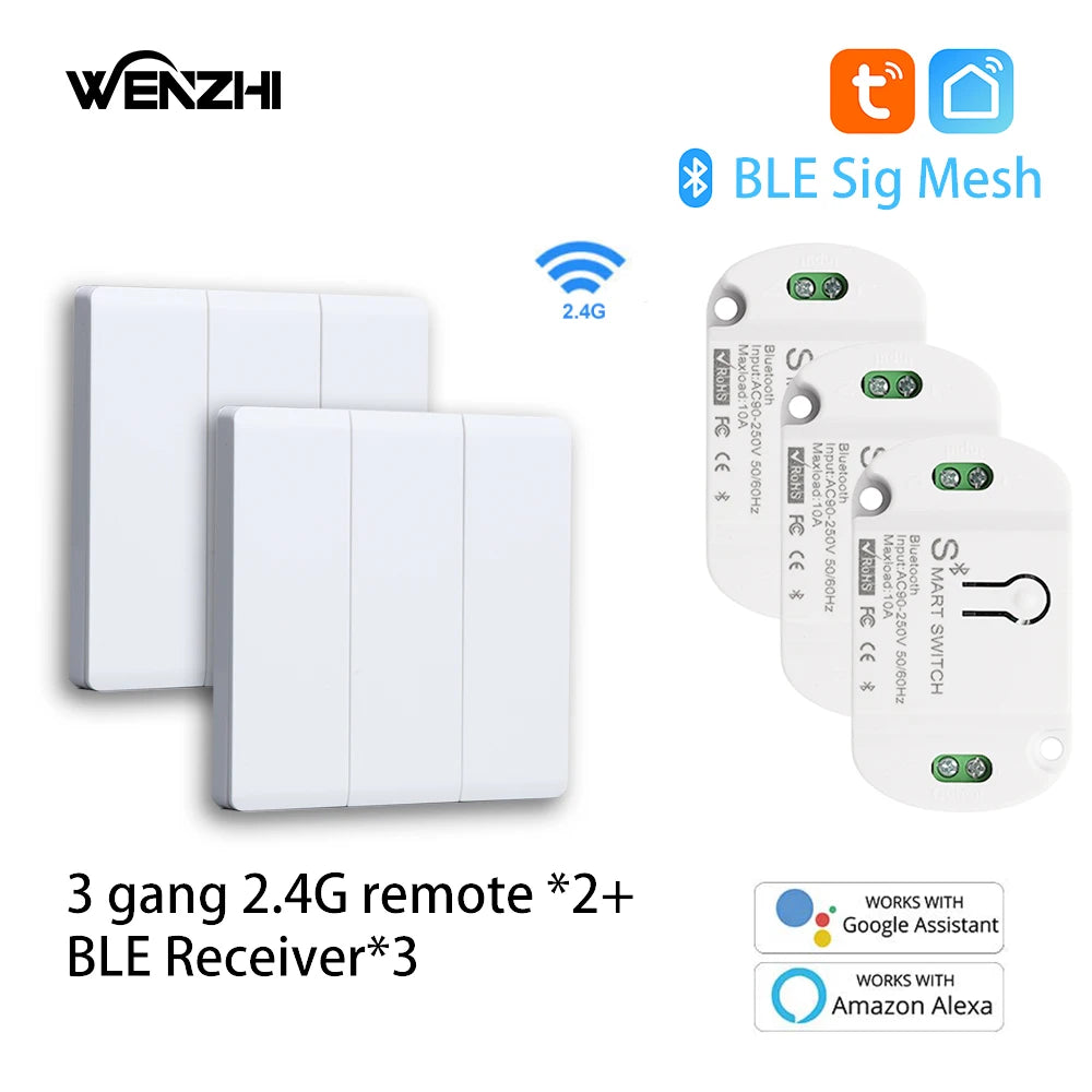 Módulo de interruptor Bluetooth/BLE, relé para lámpara de luz, encendido/apagado, Control remoto inalámbrico de 2,4G, temporizador de vida inteligente Tuya, automatización del hogar DIY