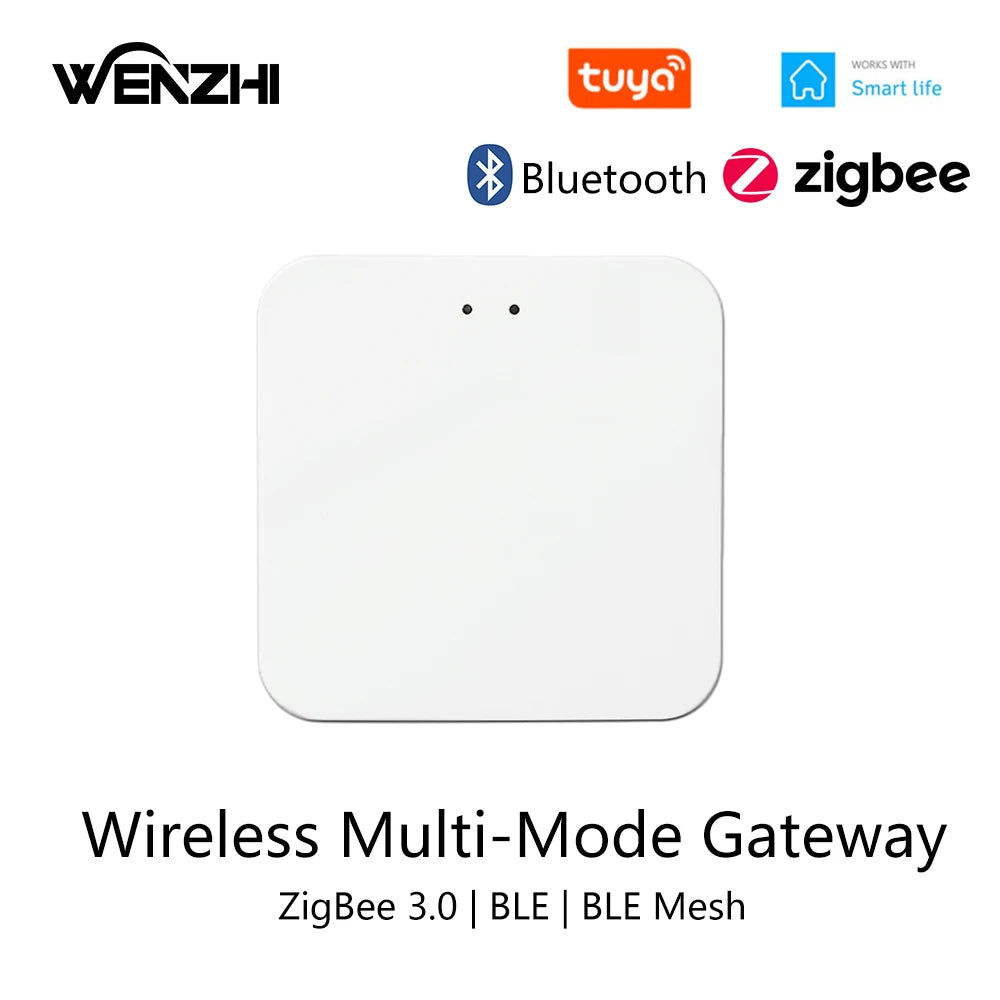 Módulo de interruptor Bluetooth/BLE, relé para lámpara de luz, encendido/apagado, Control remoto inalámbrico de 2,4G, temporizador de vida inteligente Tuya, automatización del hogar DIY