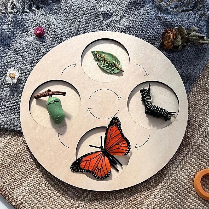 Modelo de biología de simulación para niños, juguete de planta Animal, ciclo de crecimiento de vida, juego de juguetes Montessori para niños, material didáctico, juguetes educativos
