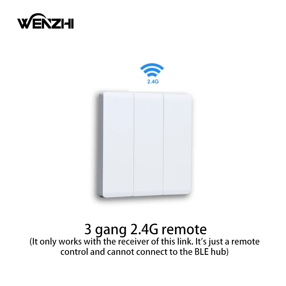 Módulo de interruptor Bluetooth/BLE, relé para lámpara de luz, encendido/apagado, Control remoto inalámbrico de 2,4G, temporizador de vida inteligente Tuya, automatización del hogar DIY