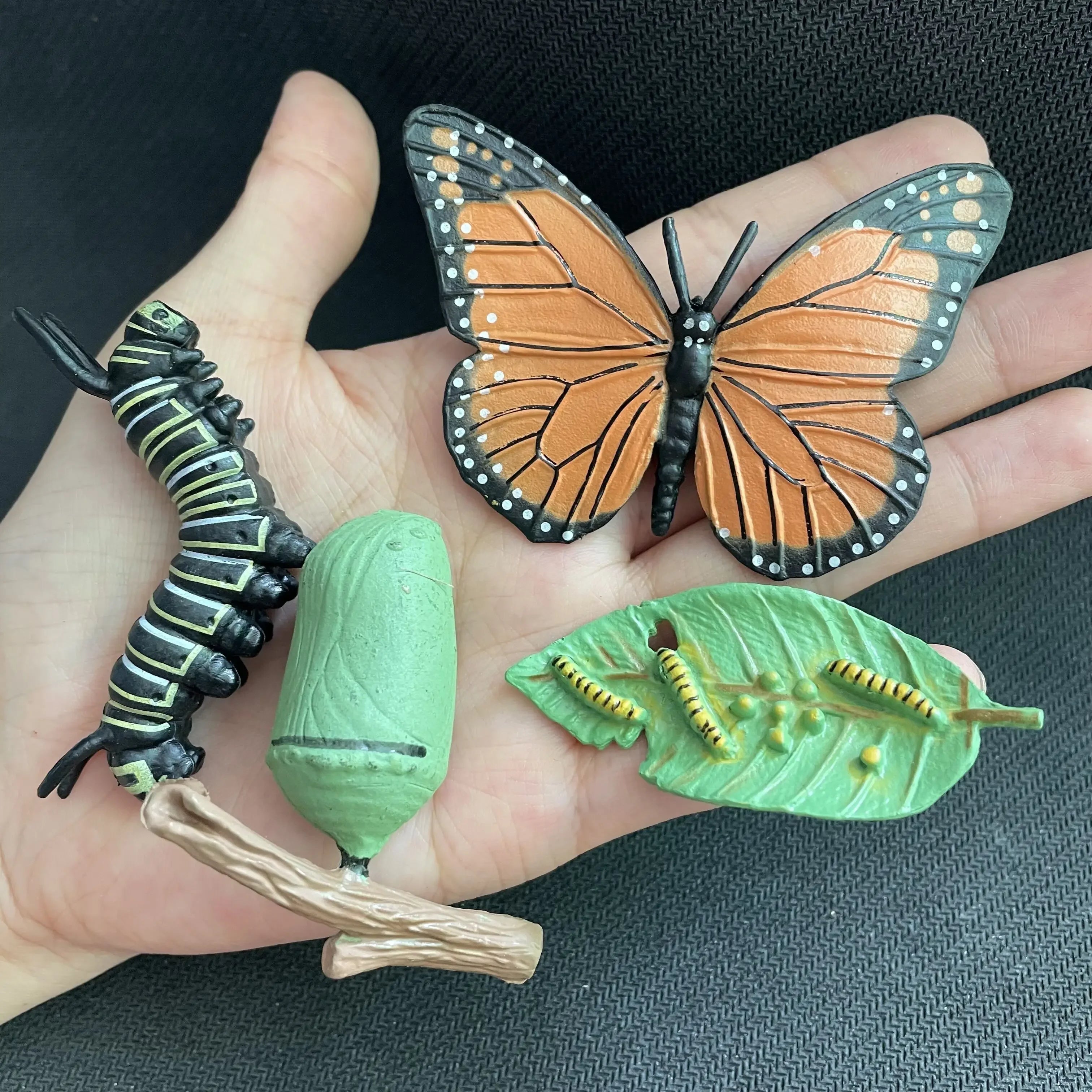 Modelo de biología de simulación para niños, juguete de planta Animal, ciclo de crecimiento de vida, juego de juguetes Montessori para niños, material didáctico, juguetes educativos