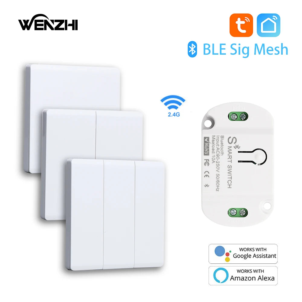 Módulo de interruptor Bluetooth/BLE, relé para lámpara de luz, encendido/apagado, Control remoto inalámbrico de 2,4G, temporizador de vida inteligente Tuya, automatización del hogar DIY