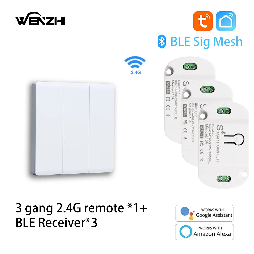 Módulo de interruptor Bluetooth/BLE, relé para lámpara de luz, encendido/apagado, Control remoto inalámbrico de 2,4G, temporizador de vida inteligente Tuya, automatización del hogar DIY