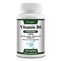 Suplementos de vitamina B6: apoya el sistema inmunológico, el sistema nervioso, el metabolismo energético, el estado de ánimo saludable