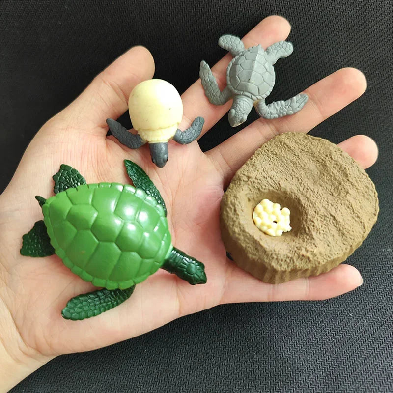 Modelo de biología de simulación para niños, juguete de planta Animal, ciclo de crecimiento de vida, juego de juguetes Montessori para niños, material didáctico, juguetes educativos