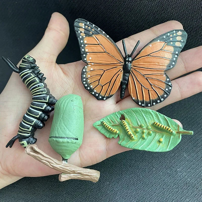 Modelo de biología de simulación para niños, juguete de planta Animal, ciclo de crecimiento de vida, juego de juguetes Montessori para niños, material didáctico, juguetes educativos