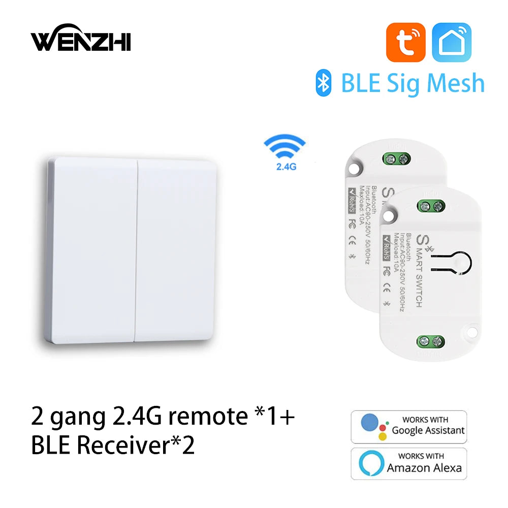 Módulo de interruptor Bluetooth/BLE, relé para lámpara de luz, encendido/apagado, Control remoto inalámbrico de 2,4G, temporizador de vida inteligente Tuya, automatización del hogar DIY